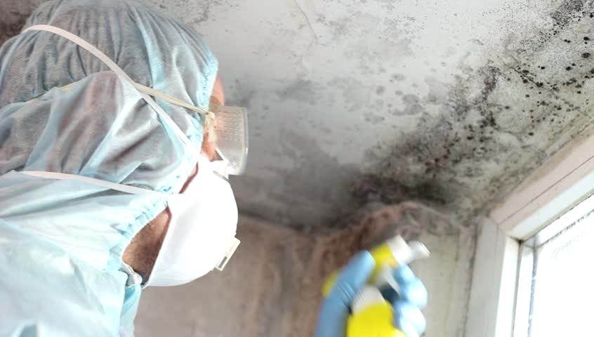 Mold remediation equipment and professional team